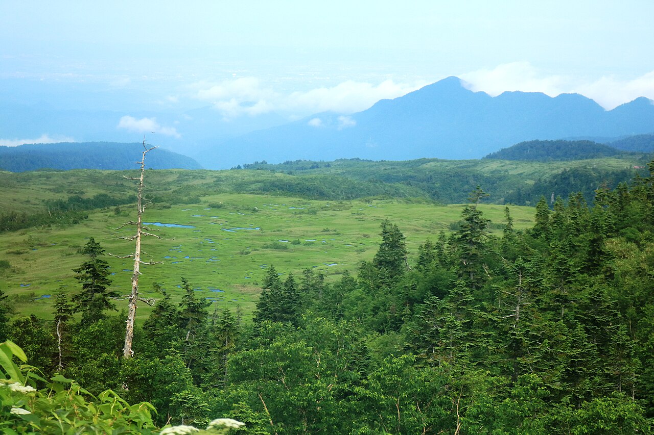 The green Midagahara highland seen from the Tateyama highland bus in summer