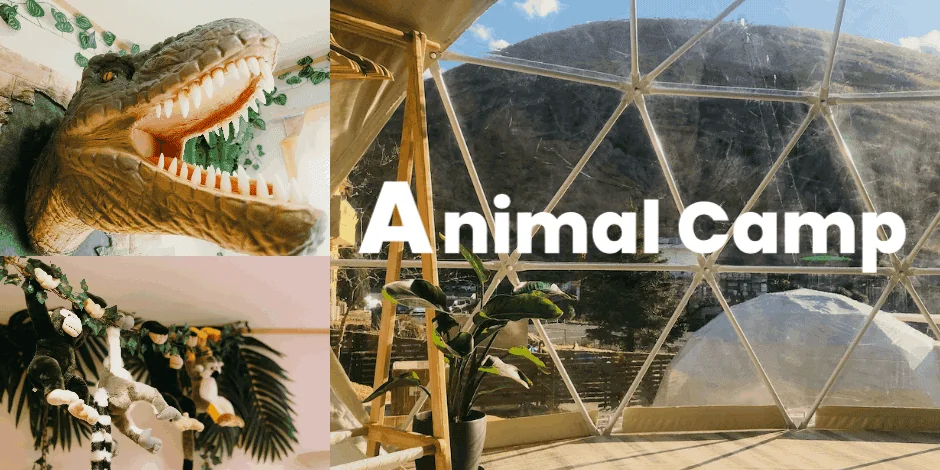 The on-site animal park for kids