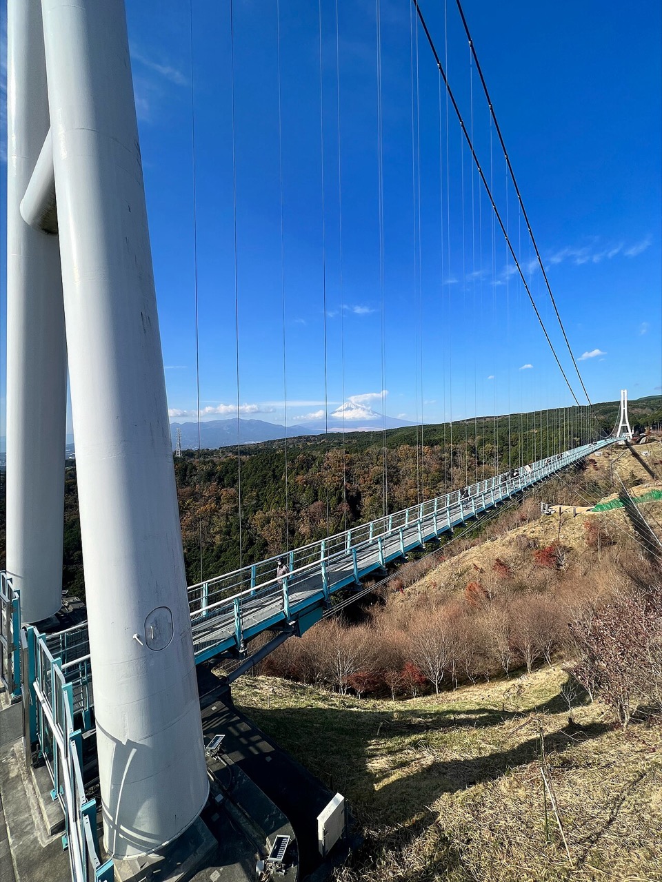 The Mishima Skywalk